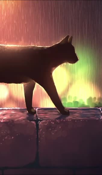 iPhone  Android Black Cat Walking In The Rain Free Phone Live Wallpaper