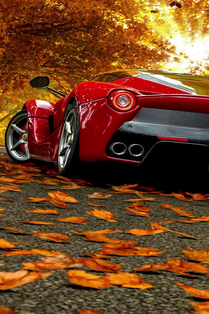 Download Fall Wallpaper iPhone