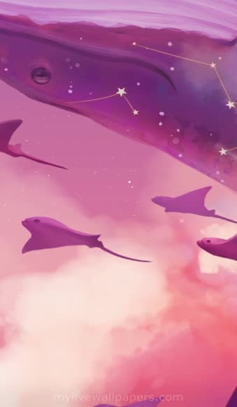 Android and iPhone Live Pink Whales and Sting Rays Phone Wallpaper