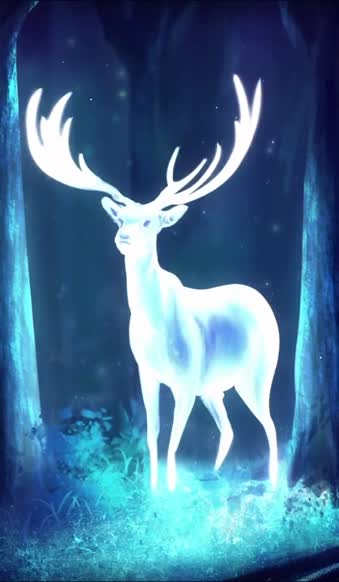 iPhone  Android Glowing Deer Night Forest Phone Live Wallpaper