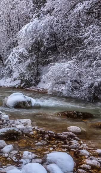 Android  iOS iphone Mobile River In Winter Forest Live Wallpapers