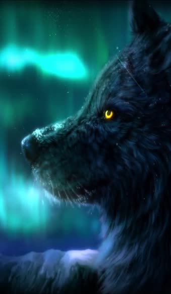 iPhone  Android Aurora Wolf Free Phone Live Wallpaper