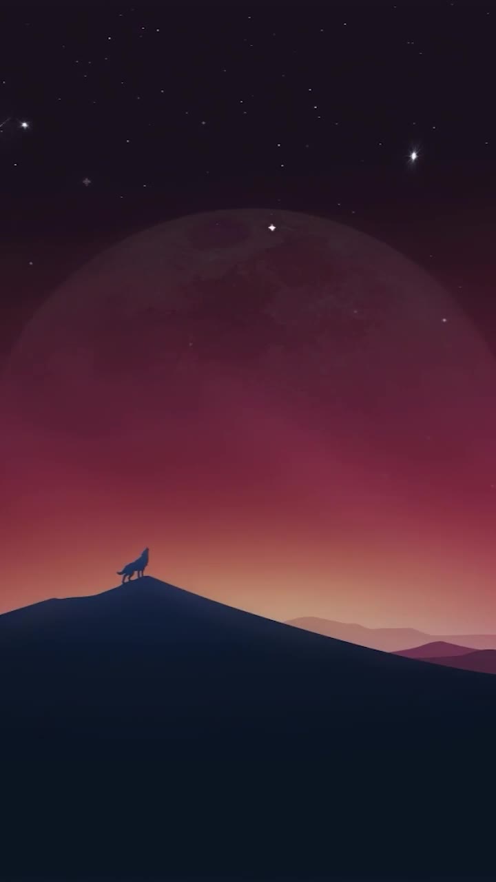 iPhone And Android Lonely Wolf Under The Night Sky Phone Live Wallpaper