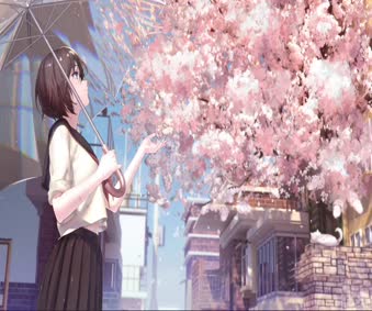 Anime Sakura Girl Pc Live Wallpaper