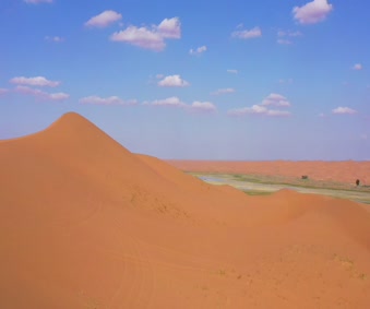 Desert 009 Lively Wallpaper