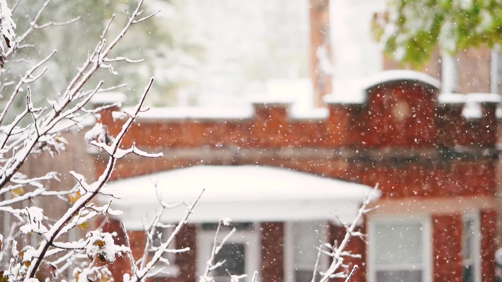 Download Snow 012 Lively Wallpaper