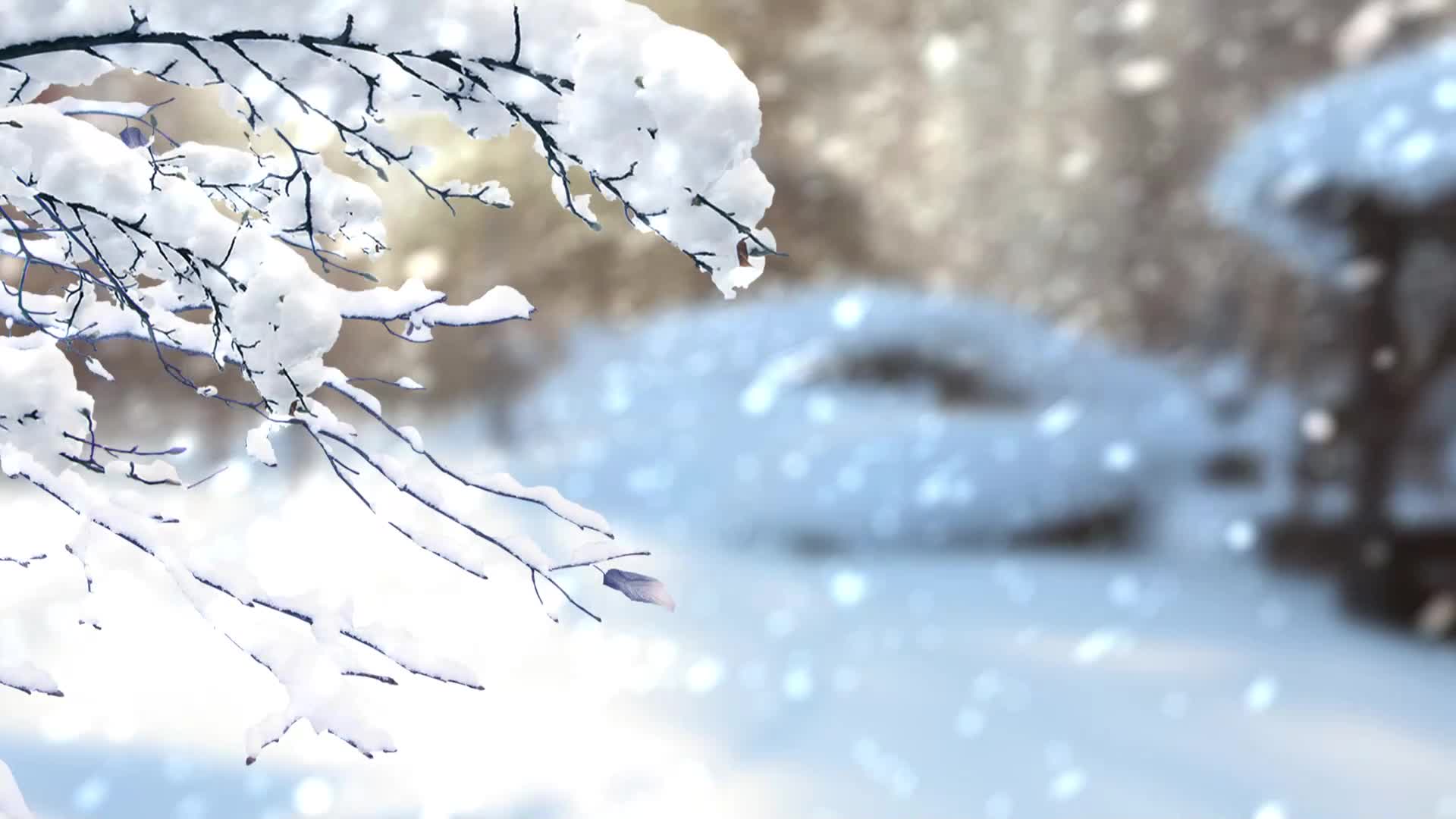 Download Snow 049 Lively Wallpaper