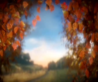 Falling Autumn Leaves Animated Wallpaper