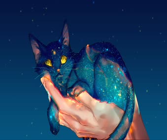 🌟 Space Void Cat Live Wallpaper