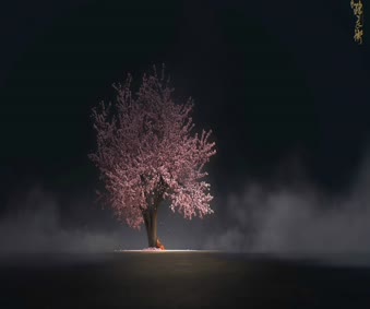 sakura DesktopHut - Live Wallpapers and Animated Wallpapers 4K/HD