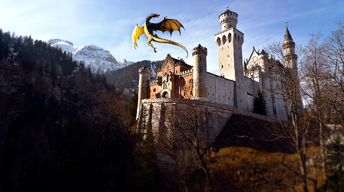 dragon castle wallpaper