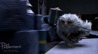 demiguise fantastic beasts and where to bind them image wallpaper