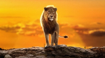 2023 the lion king simba 8q wallpaper