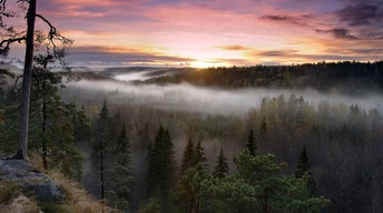 foggy sunrise national park wallpaper