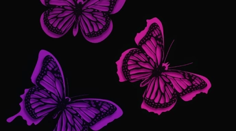 pink butterflies artistic wallpaper