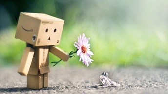 danbo with flower pic wallpaper