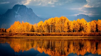 autumn trees on lake wallpaper