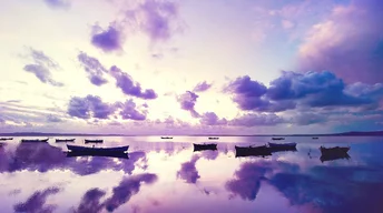 purple sunset in ocean wallpaper