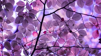purple leaves wallpaper