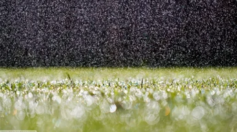 raindrops on grass wallpaper
