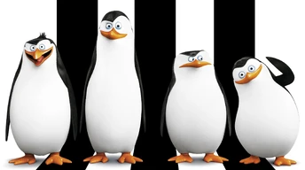 penguins of madagascar movie hd desktop wallpaper