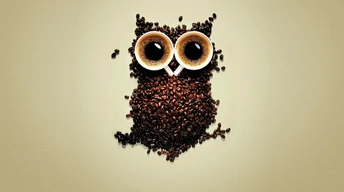 coffee beans owl art wallpaper