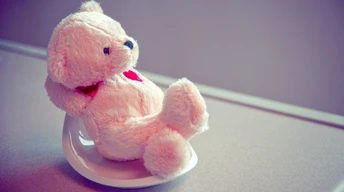 pink teddy bear image wallpaper