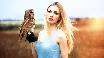 girl with owl hd wallpaper