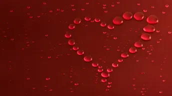heart made of water drops qhd wallpaper