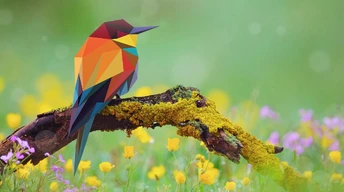 bird abstract art pic wallpaper