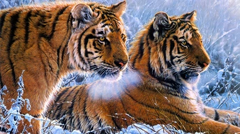 tigers oil paint 4k wallpaper