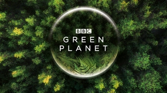 bbc green planet 4k wallpaper