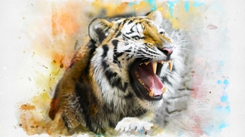 tiger splash art 4k wallpaper