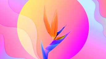 colorful abstract flower 4k wallpaper