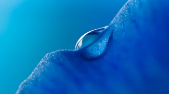 blue droplet honor hd wallpapers
