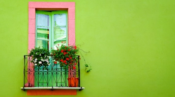 green wall window hd wallpapers