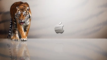 apple mac tiger widescreen wallpapers