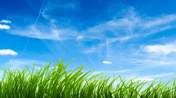 blue sky green grass 1 widescreen wallpapers