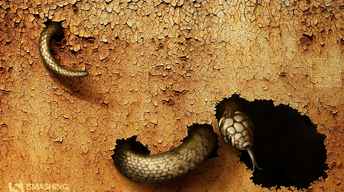 dangerous snake widescreen wallpapers