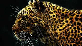 digital leopard widescreen wallpapers