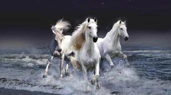 mystic horses widescreen wallpapers