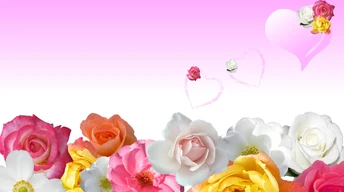 roses love hearts widescreen wallpapers