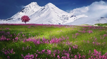 snow mountains lscape widescreen wallpapers
