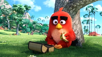 angry birds movie red best animation movies of 2016