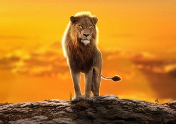 2023 the lion king simba 8q wallpaper › Live Wallpapers & Animated  Wallpapers Videos - Images | DesktopHut