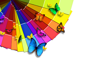 colorful butterflies widescreen wallpapers