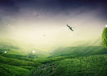green lscape widescreen wallpapers