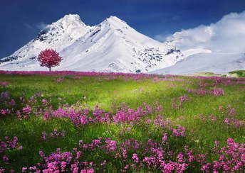 snow mountains lscape widescreen wallpapers