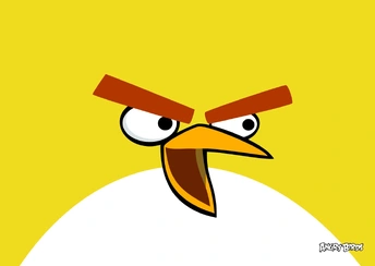 yellow bird in angry birds widescreen wallpapers