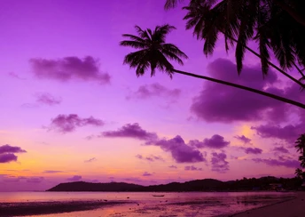 thailand 4k 5k wallpaper beach palms shore sunset travel tourism